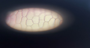 01-10-2025